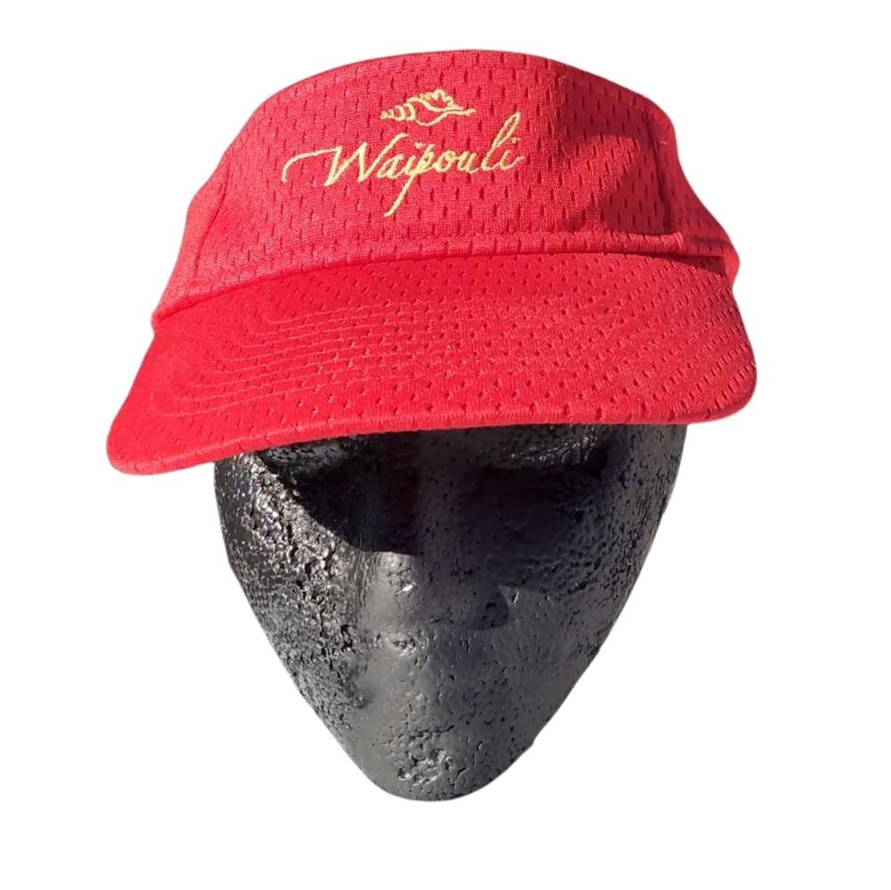 Visor - Picture 2 of 4